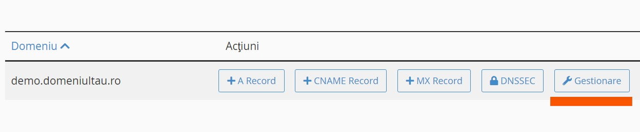 Editare zona DNS